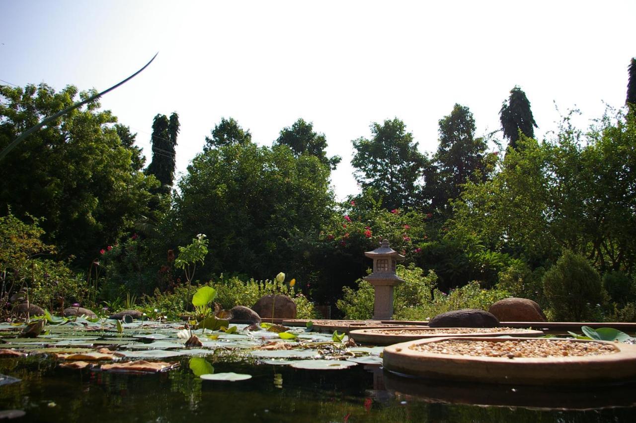 Gaia'S Garden Guest House Auroville Esterno foto