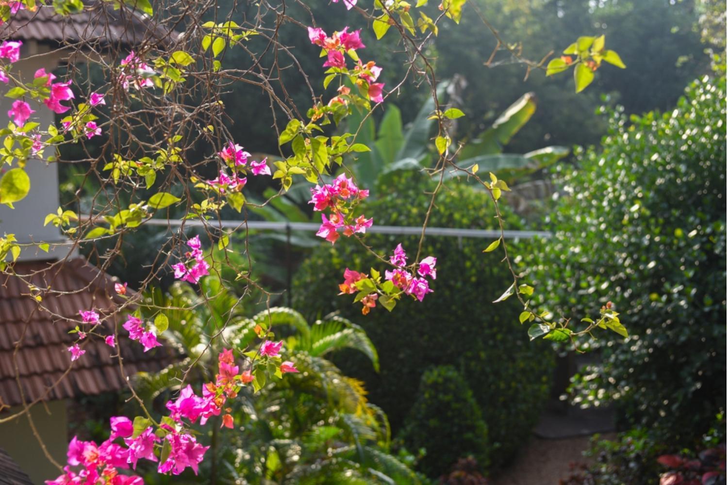 Gaia'S Garden Guest House Auroville Esterno foto