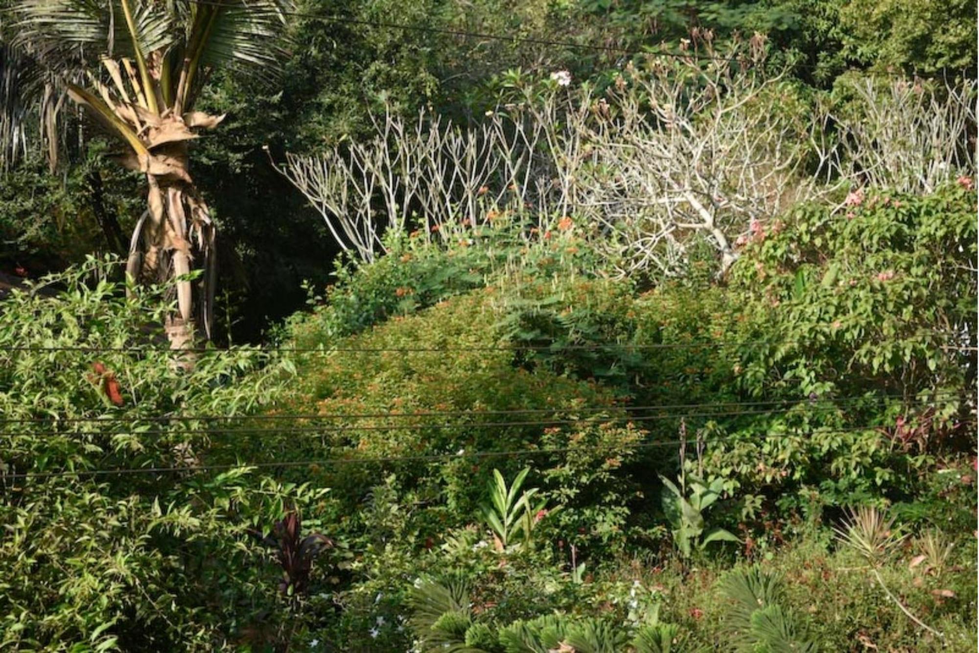 Gaia'S Garden Guest House Auroville Esterno foto
