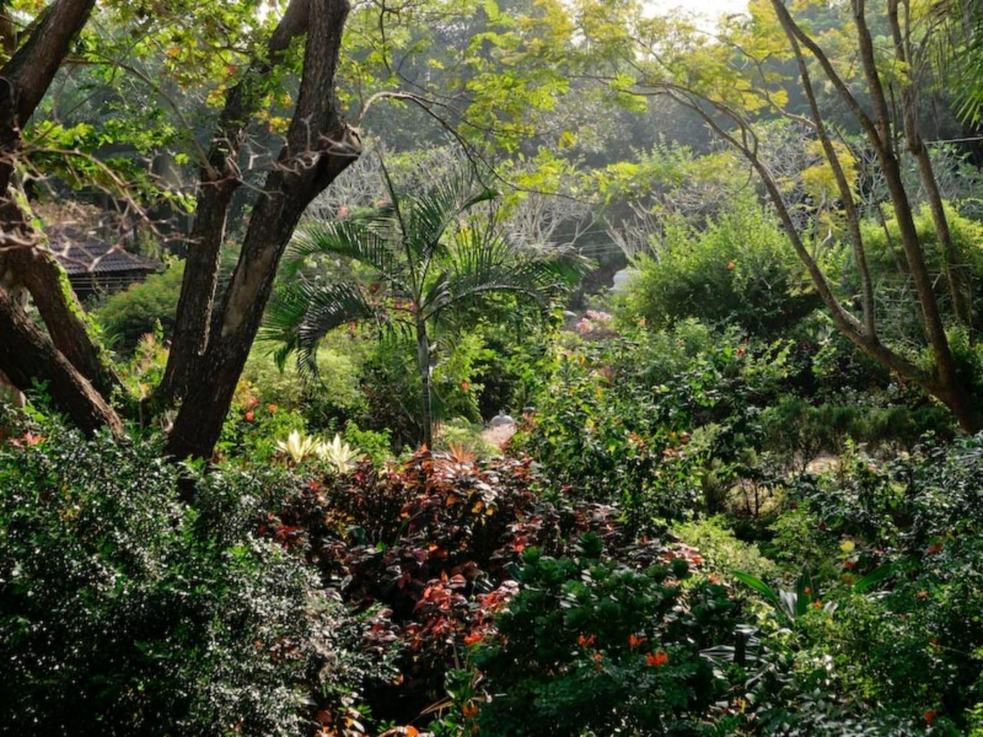Gaia'S Garden Guest House Auroville Esterno foto