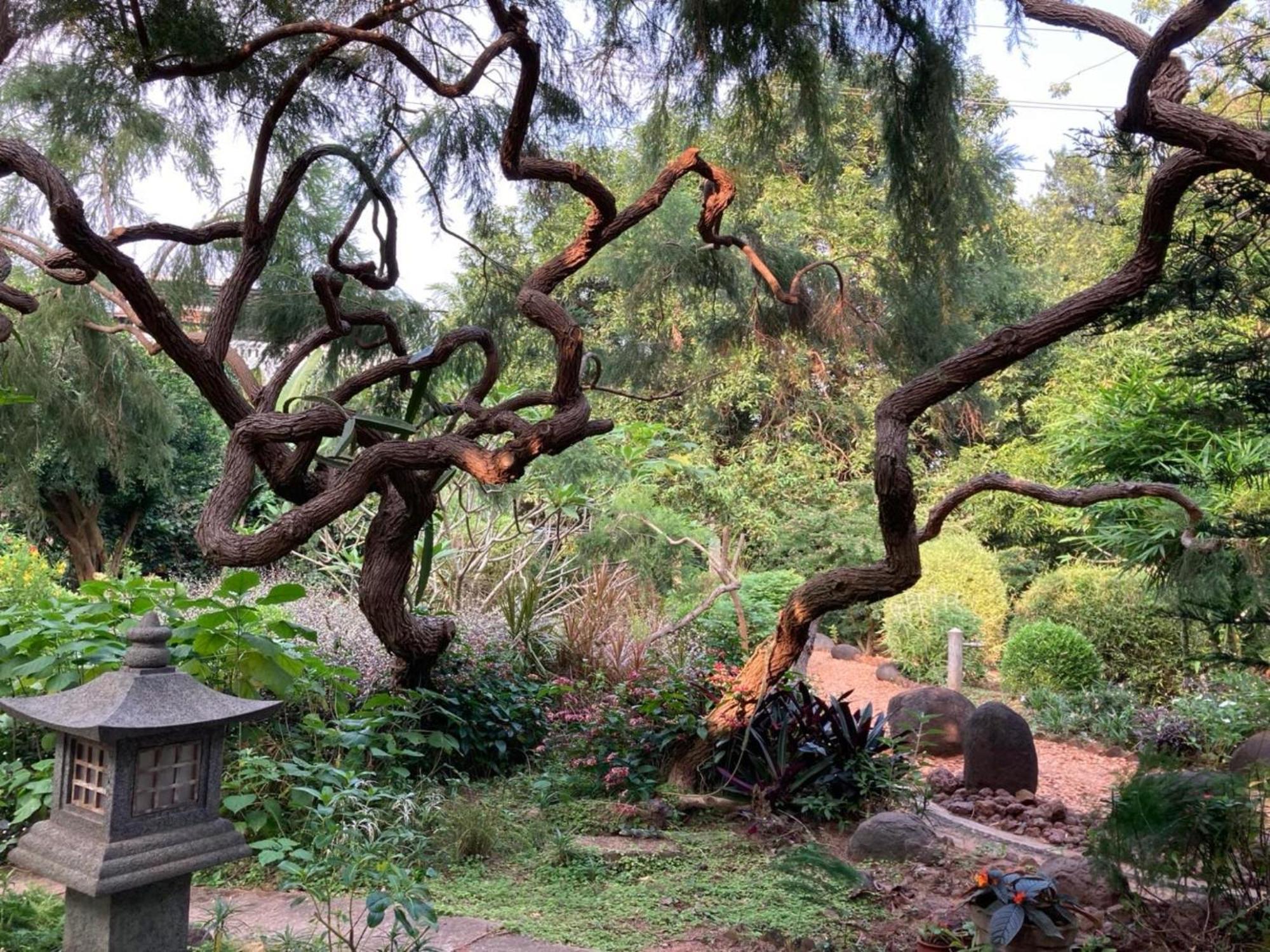 Gaia'S Garden Guest House Auroville Esterno foto